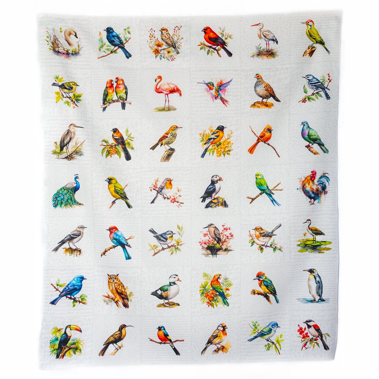 Birds