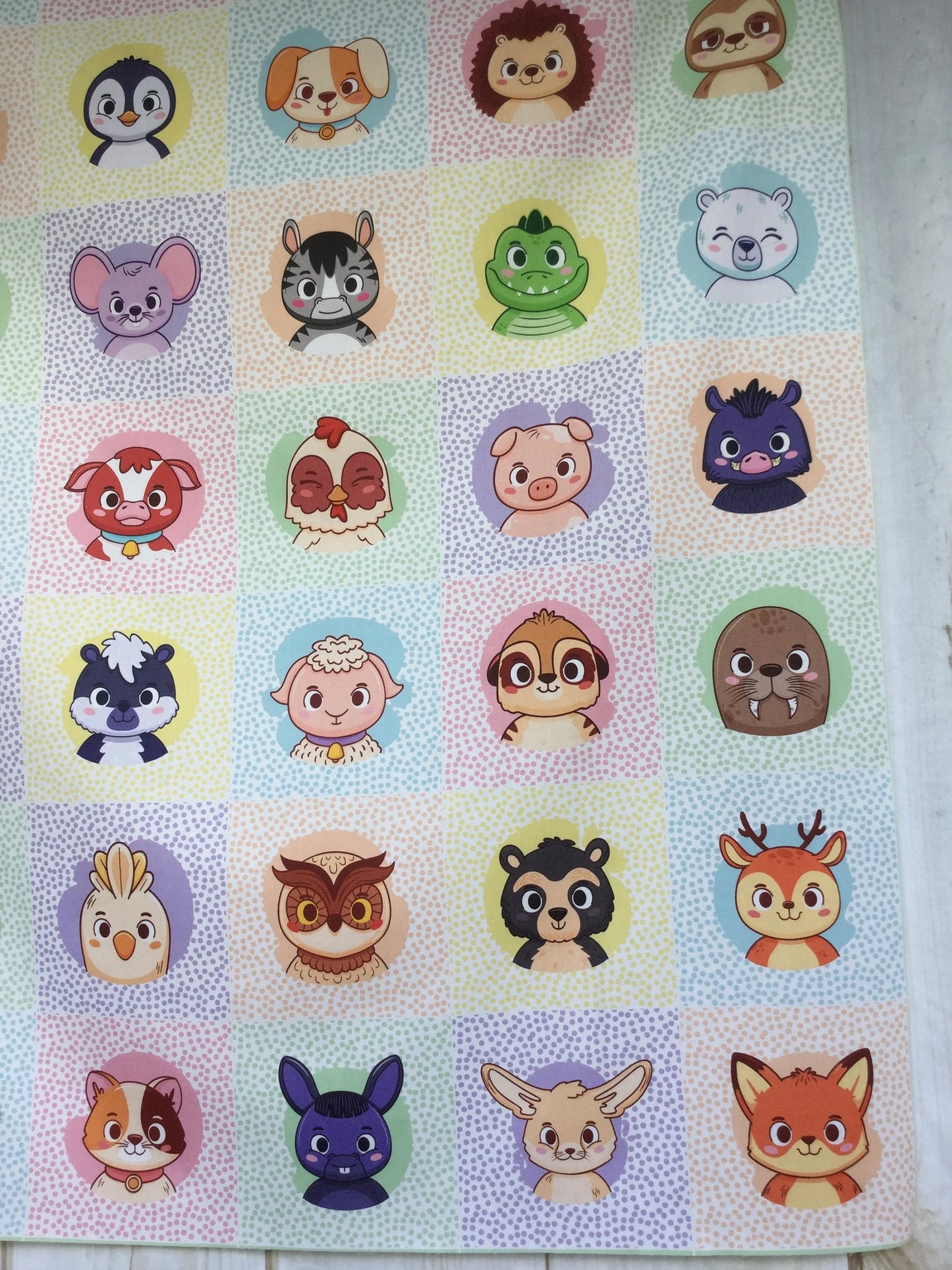 Baby Animals