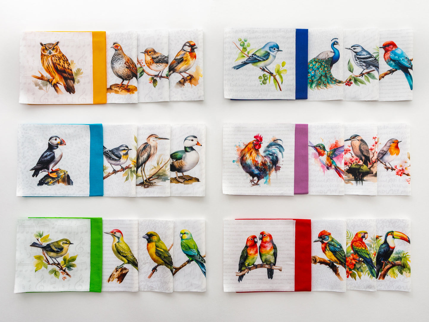 Birds