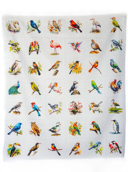 Birds