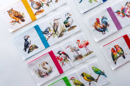 Birds
