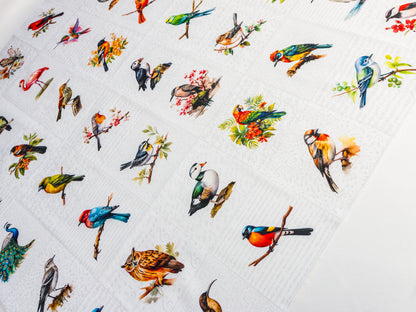 Birds