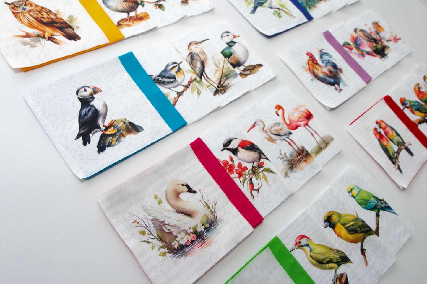 Birds