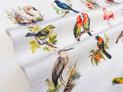 Birds