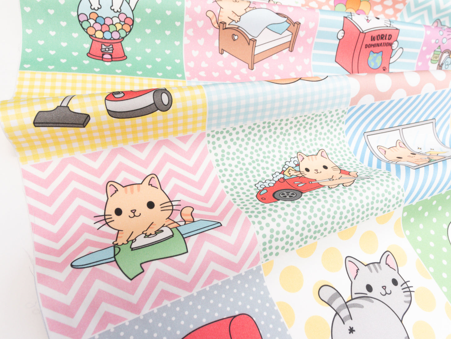 Cats
