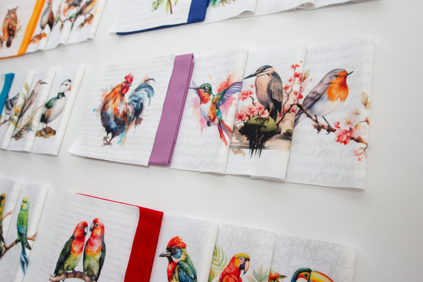Birds