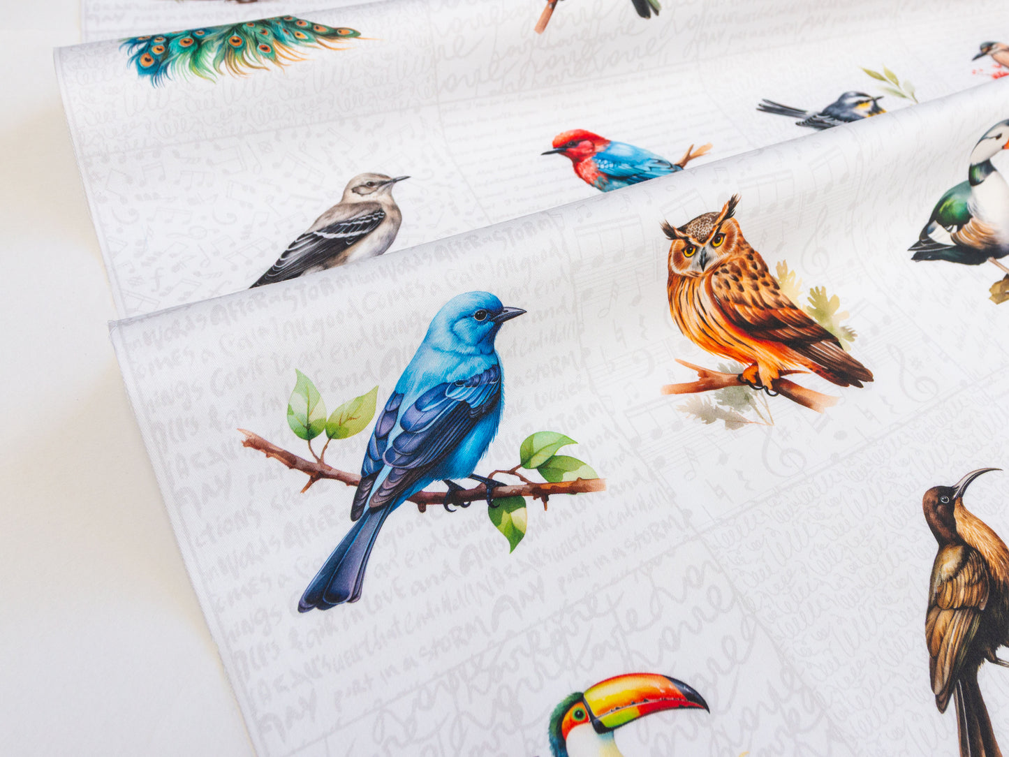 Birds