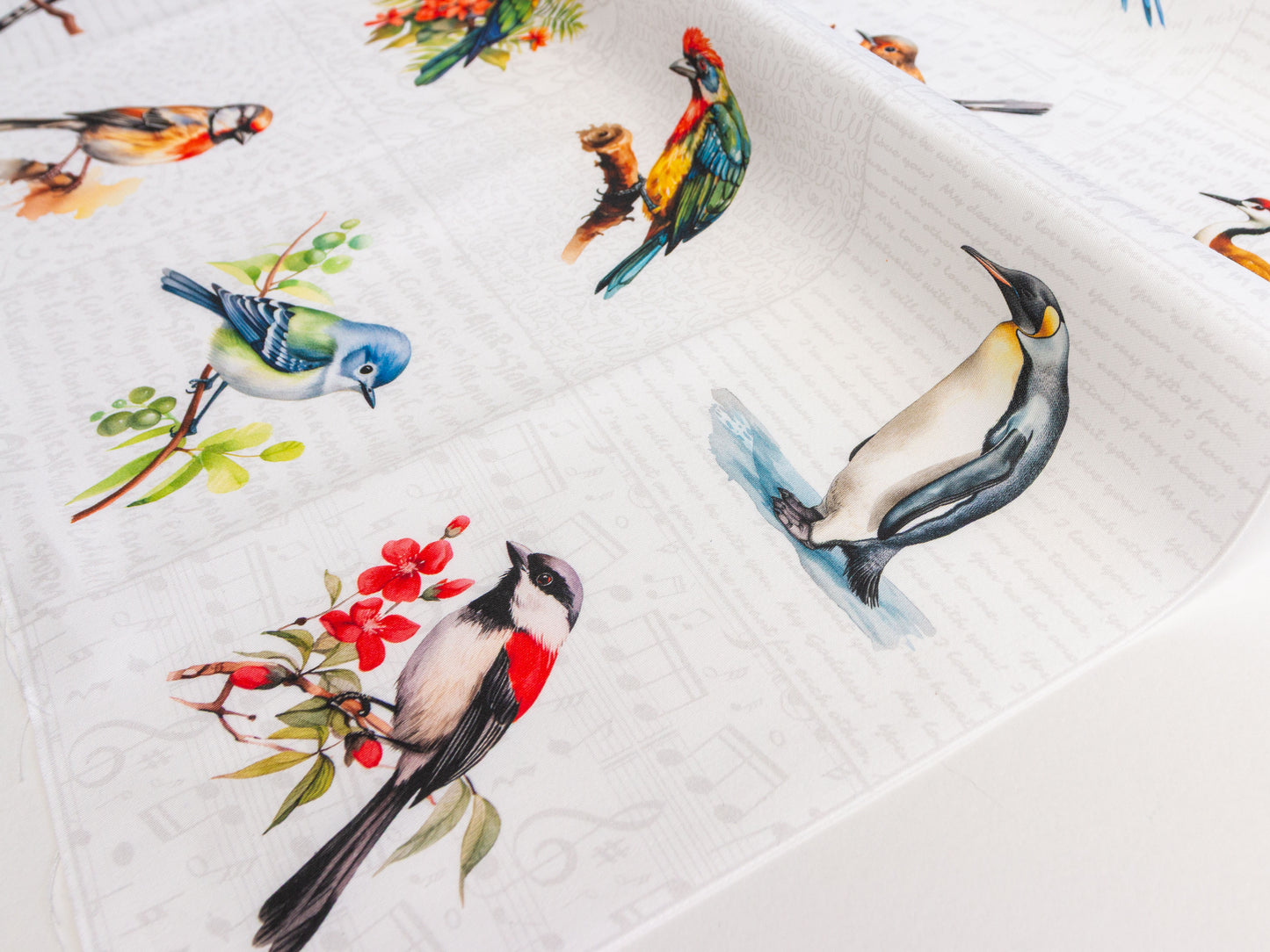 Birds