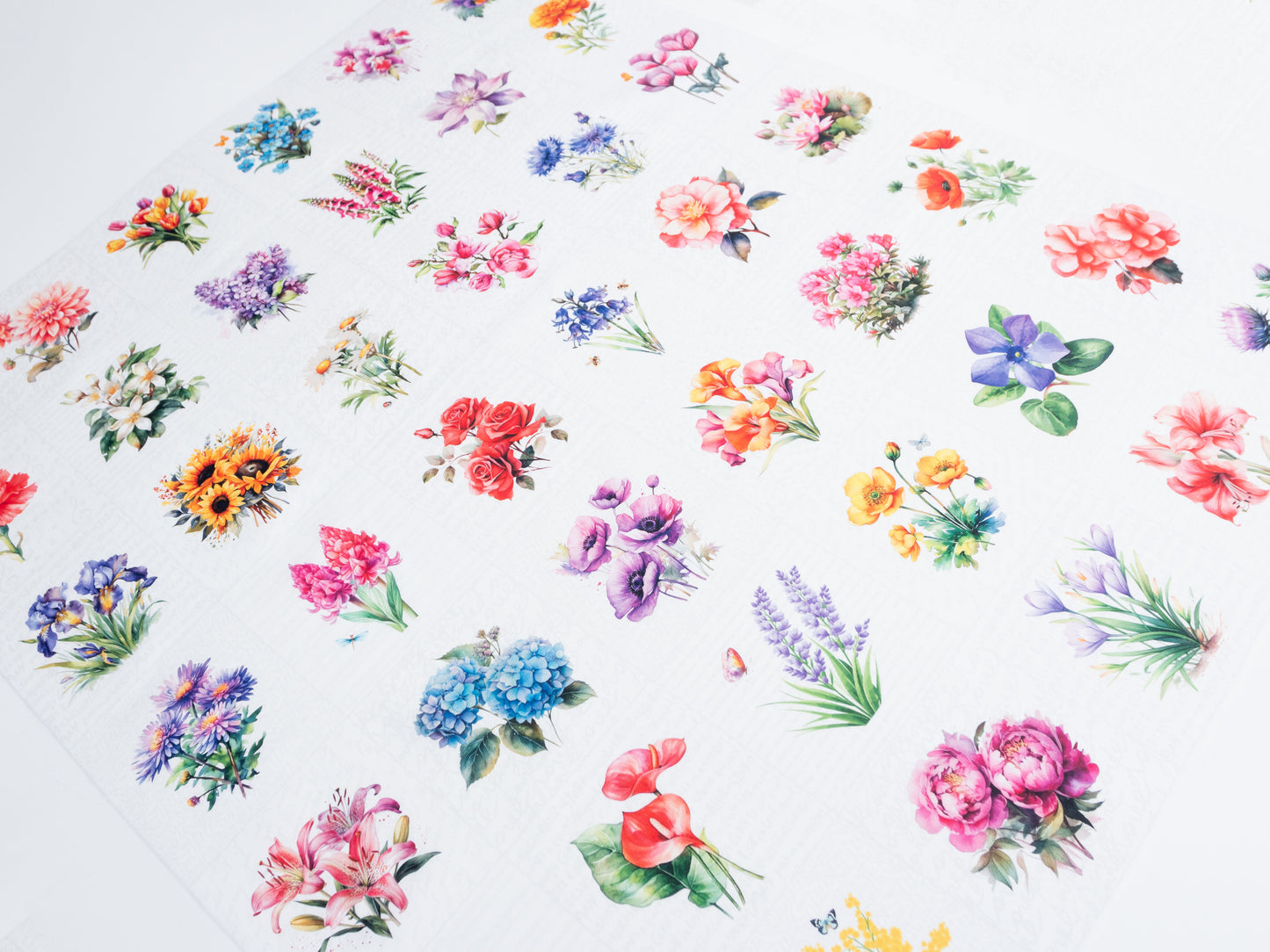 Flowers
