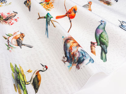 Birds