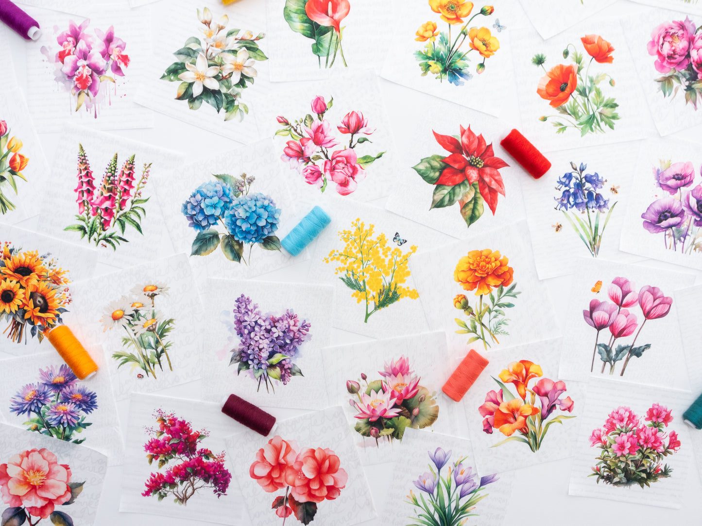 Flowers